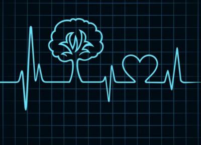 درختان ضربان قلب دارند