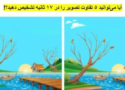 معمای تفاوت تصویر مجذوب کننده؛ آیا می توانید 5 تفاوت را در 17 ثانیه تشخیص دهید؟