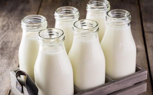 این 6 ماده غذایی هرگز نباید با شیر ترکیب شوند