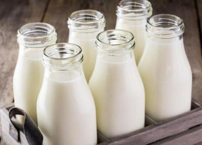 این 6 ماده غذایی هرگز نباید با شیر ترکیب شوند